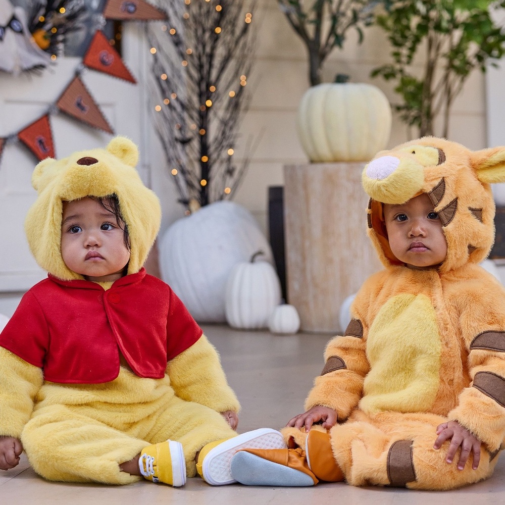 Disney Winnie the Pooh Halloween Costume - Picture 2 of 9